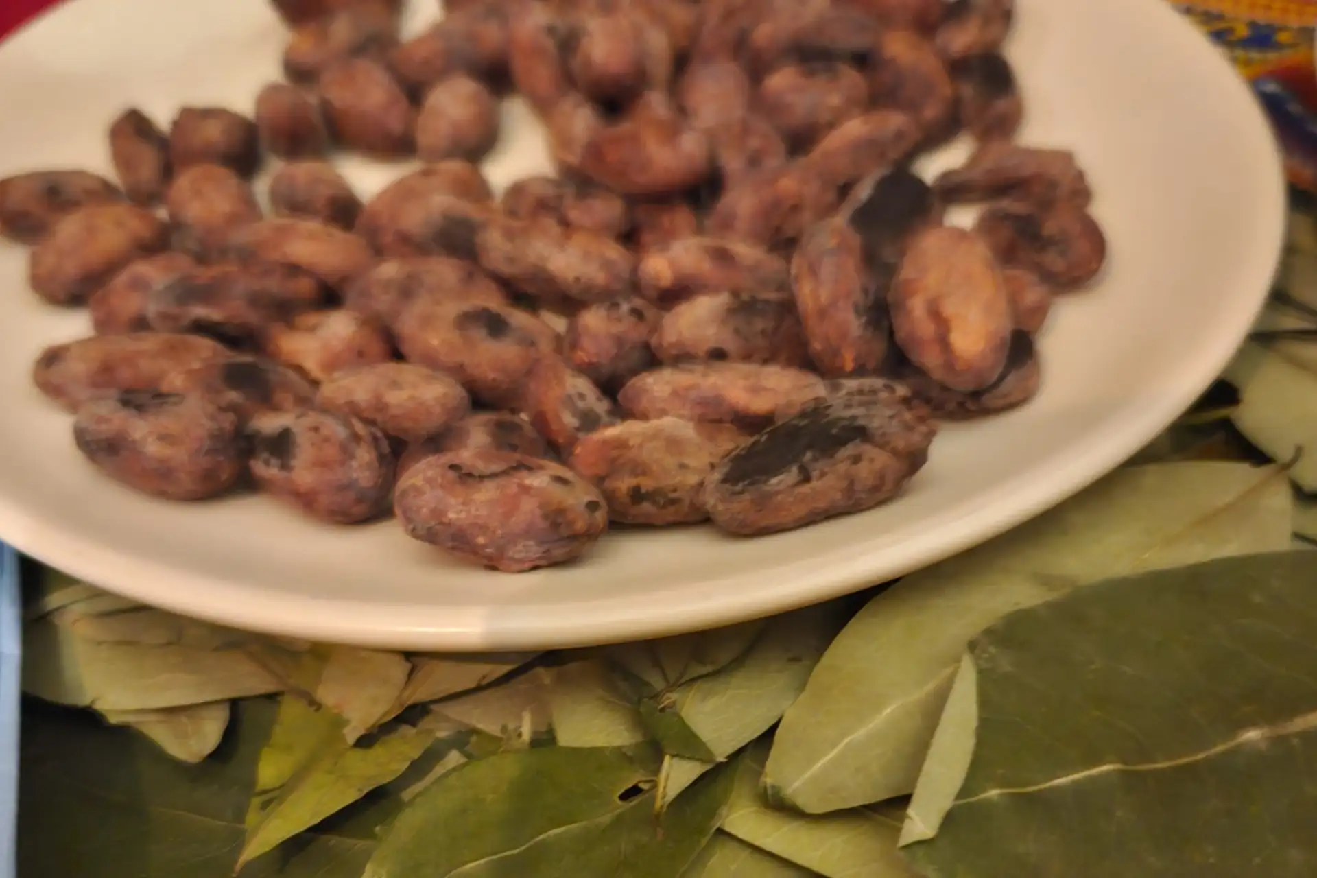 Il potere del Cacao